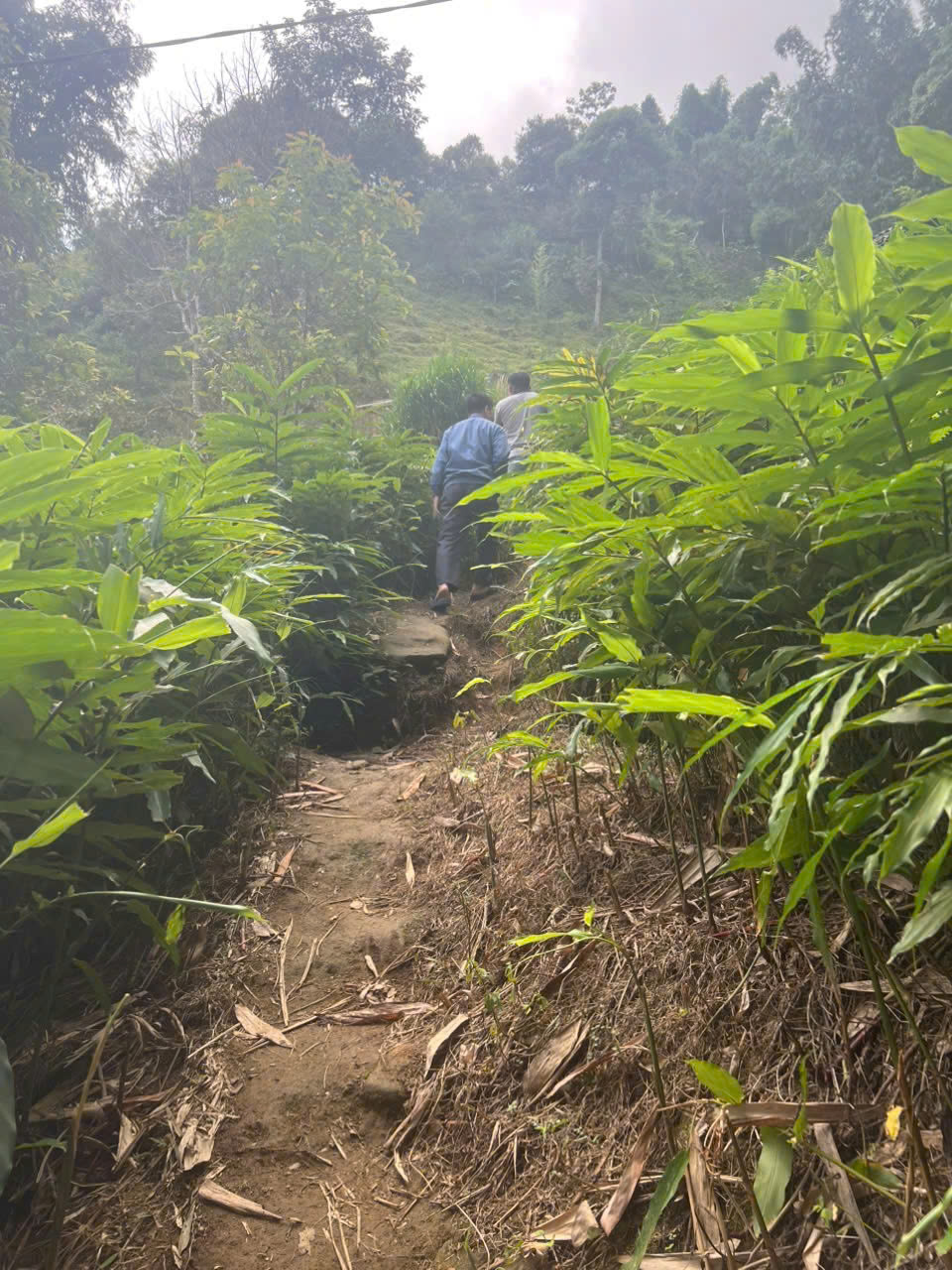 Con đường vào nhà em Châu Thị Si